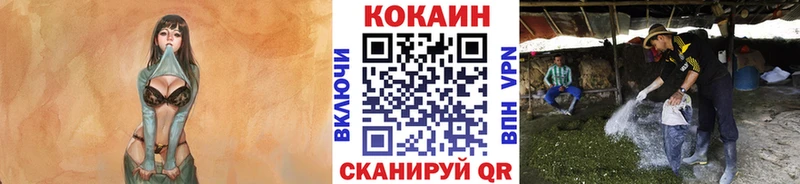 Cocaine VHQ  купить наркотик  Лахденпохья 