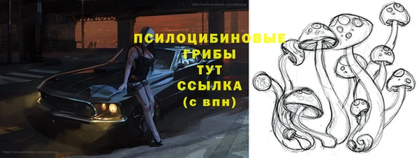 прущий лед Алексин