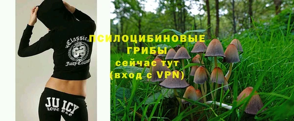 а пвп мука Аркадак