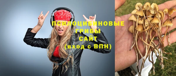прущий лед Алексин
