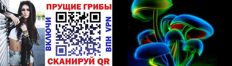 Псилоцибиновые грибы GOLDEN TEACHER  Лахденпохья 